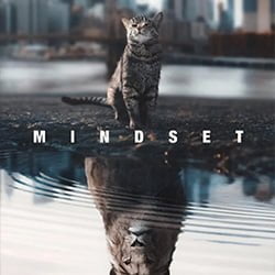 smuk-mindset-lion-dreaming
